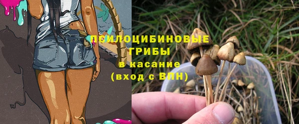 синтетический гашиш Белокуриха
