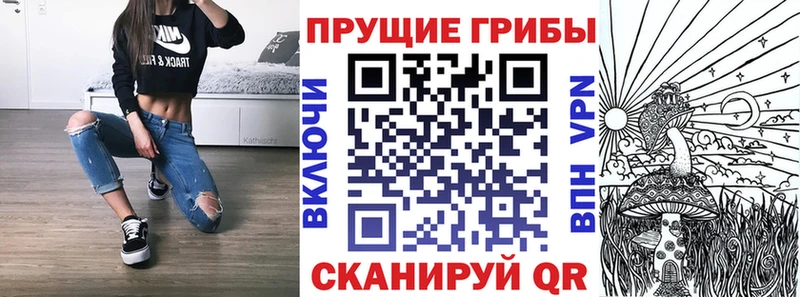 где купить наркоту  Новохопёрск  Галлюциногенные грибы мицелий 