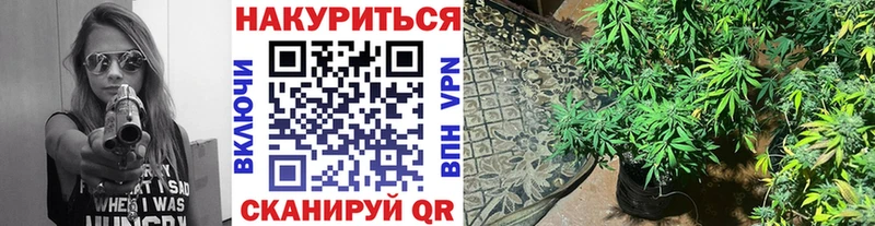 blacksprut зеркало  Новохопёрск  Бошки марихуана Bruce Banner 
